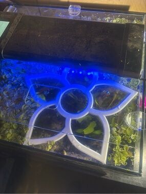 Floating Aquarium Ring - Versatile Fish Tank Decor